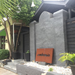 Molina's Cantina